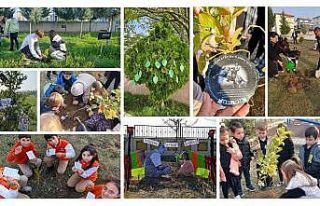 81 ildeki okullarda fidanlar, ‘Atatürk ve Vatan...