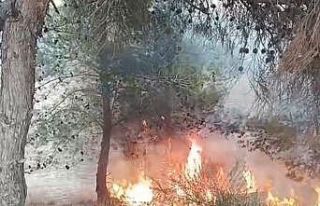 Adana’da bir çocuğun çıkardığı öne sürülen...