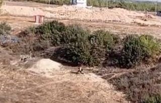 Adana’da nefes kesen kovalamaca: Firari hükümlü...