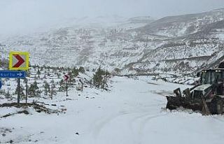 Adana’nın yüksek kesimlerinde kar yağışı etkili...