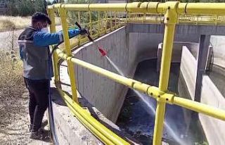 Adıyaman Belediyesi larva mücadelesini yoğunlaştırdı