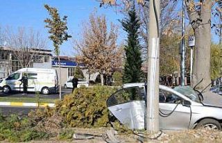 Ağaca çarpan otomobil ikiye bölündü: 2 ölü...