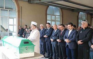 AK Parti Genel Başkanvekili Efkan Ala’nın acı...