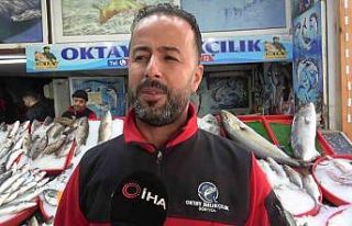 Akdeniz’de oltasına takılan dev kılıç balığı...