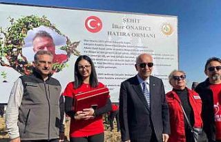 Akut Şehitleri anısına 3 hatıra ormanı