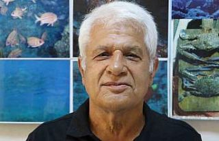 Amatör kıyı balıkçısının oltasına köpek...