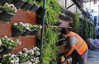 Antalya’da 4 milyon çiçek toprakla buluşuyor