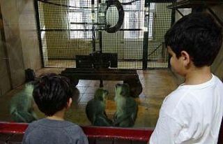 Ara tatile çıkan öğrenciler soluğu hayvanat bahçesinde...