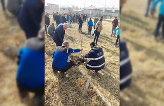 Aras EDAŞ, Milli Ağaçlandırma Günü’nde geleceğe...