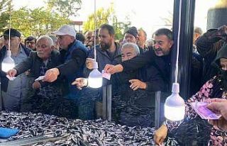 Artvin’in Hopa ilçesinde kilosu 20 liradan satılan...