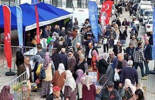 Ata tohumlarından üretilen fideler Aydınlılara...