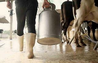 Aydın’da 9 bin 543 üreticiye toplam 66 milyon...