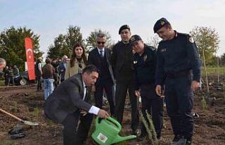 Bafra’da 8 bin fidan toprakla buluştu