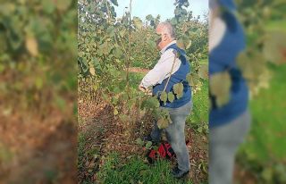 Bahçelerde toprak analizi ve zararlı tespiti