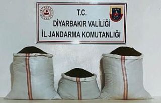 Bakan Yerlikaya, 555 kilogram uyuşturucu maddesi...