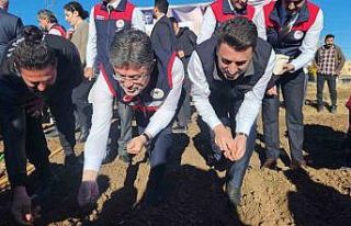 Bakan Yumaklı, Tunceli’de dağ sarımsağı ekti,...