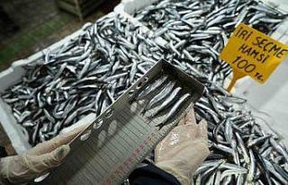 Balık tezgahlarına yakın markaj: 109 kişi ve işletmeye...