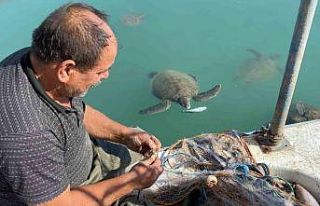 Balıkçıların dostu: Göç etmeyen caretta carettalar...