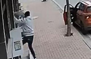 Balkona tırmanıp cins kediyi çaldı