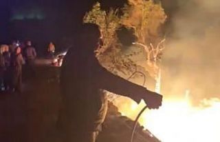 Barakayı kül eden yangın seralara ulaşmadan söndürüldü