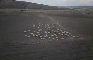 Başkan Büyükkılıç’ın projesi ile kırsalda...