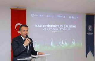 Başkan Doğan: "Samsun, canlı kaz sayısı...