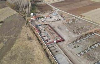 Başkan Metin’den sokak hayvanları için örnek...