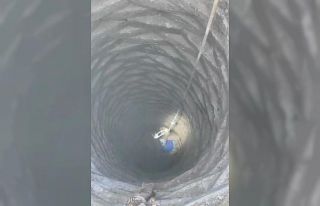 Batman itfaiyesi 20 metrelik kuyuya düşen horozu...