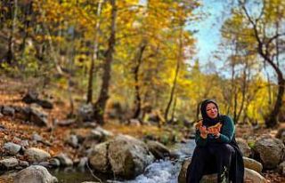 Belemedik, sonbaharda renk cümbüşüne büründü