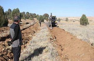 Beyşehir’de 11 bin orman fidanı daha toprakla...