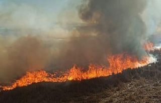 Beyşehir’de sazlıklar alev alev yandı