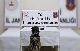 Bingöl’de uyuşturucuyla mücadele