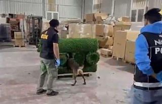 Binlerce uyuşturucu hapı yapay çimin içerisine...