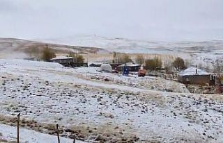 Bitlis’te köyler beyaza büründü