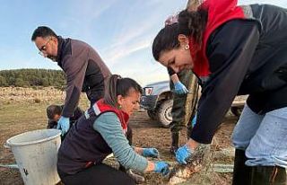 Bolu’da 5 kilometrelik hayalet ağ toplandı: 500...