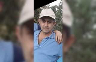 Bolu’da ağacın altında kalan vatandaş hayatını...