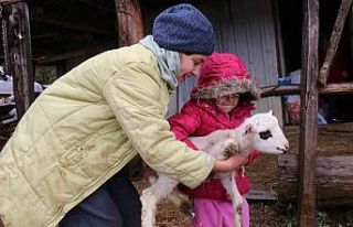 Bolu’da yaylalardan köylere göç başladı