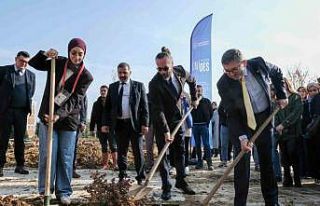 BŞEÜ’de kampüse yeni fidanlar dikildi