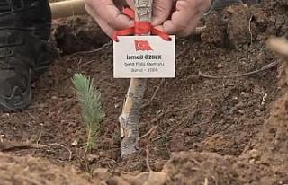 Bursa’da şehitler anısına fidan dikildi