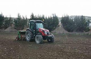 Büyükçekmece’de atıl araziler buğdayla buluştu