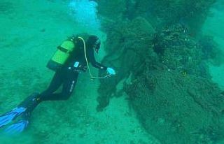 Çanakkale’de 9 yılda denizden 34 bin 620 metrekarelik...