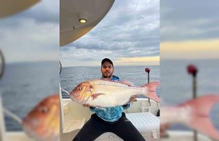 Çanakkale’de balıkçılar 12 kilogramlık mercan...