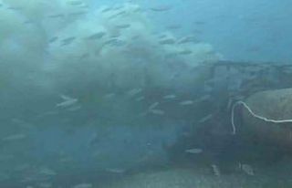 Çanakkale’de boğaza dökülen atık su ile karşılaşan...