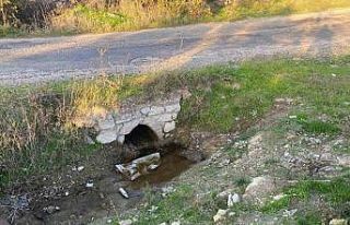Çanakkale’de boş arazide bebek cesedi bulundu