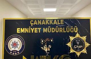 Çanakkale’de huzur uygulamalarında 2 tutuklama