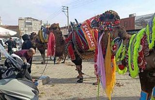 Çan’da havut giydirme hayrı düzenlendi
