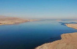 Çıldır Gölü kısmen dondu: Atlı kızaklar için...