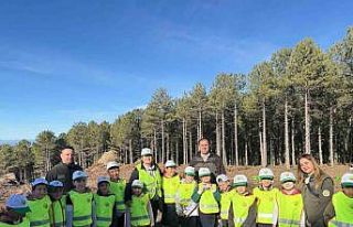 Çineli öğrencilere orman faaliyetleri anlatıldı