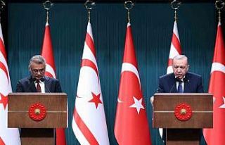 Cumhurbaşkanı Erdoğan: "Kıbrıs meselesine...
