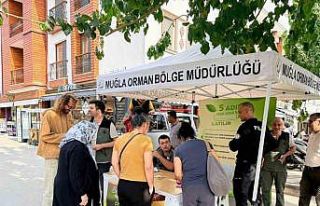 Datça’da ‘Yeşil Vatan’ seferberliği